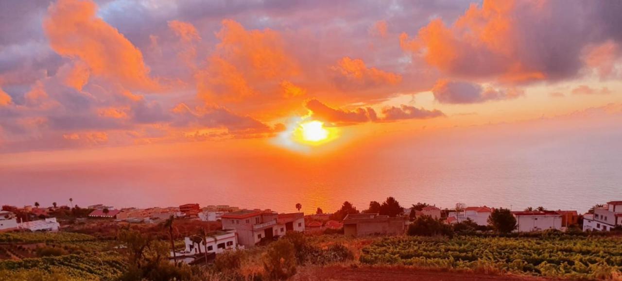 Villa La Casita La Matanza De Acentejo Dış mekan fotoğraf